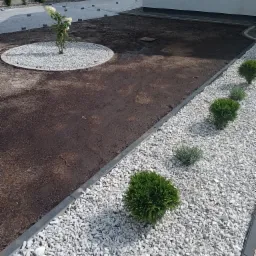 Nowo założony ogród z wydzielonymi strefami: rabata z ziemią, okrągła wyspa z białym żwirem i hortensją, oraz pas białego żwiru z niskimi krzewami, oddzielone szarymi obrzeżami.