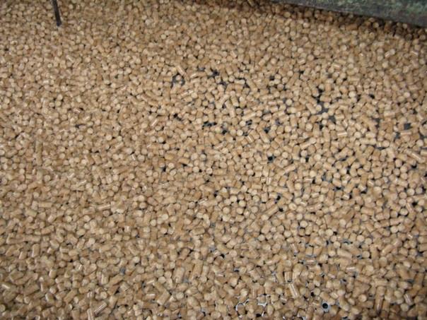 Jasne, cylindryczne pelety drzewne ułożone gęsto, wypełniające kadr. Widoczne drobne nierówności podłoża. Oświetlenie równomierne, bez wyraźnych cieni.