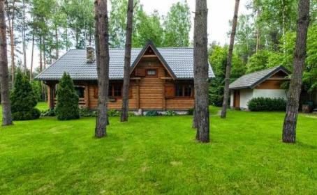 D&M Dom i Ogród Łukasz Stasiak - Ogrodnik Łódź