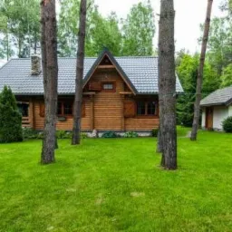 Drewniany dom z szarym dachem, otoczony zielonym trawnikiem i drzewami. Mały budynek gospodarczy w tle. Ujęcie z poziomu trawy, z widoczną fakturą kory drzew.