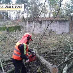 Wycinka drzew,koszenie traw Trójmiasto i okolice
