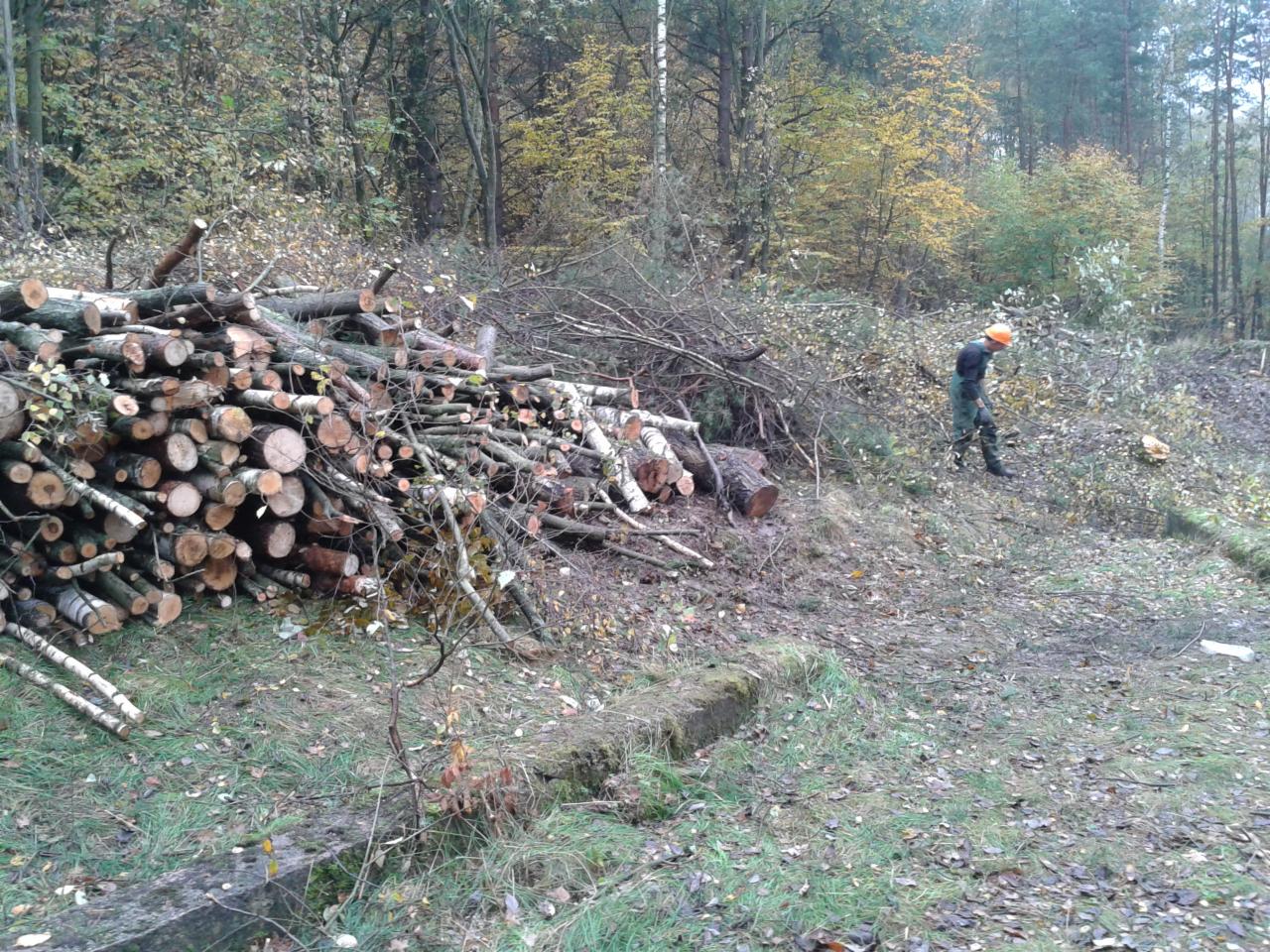 wycinka trudnych drzew Pruszcz Gdański i okolice