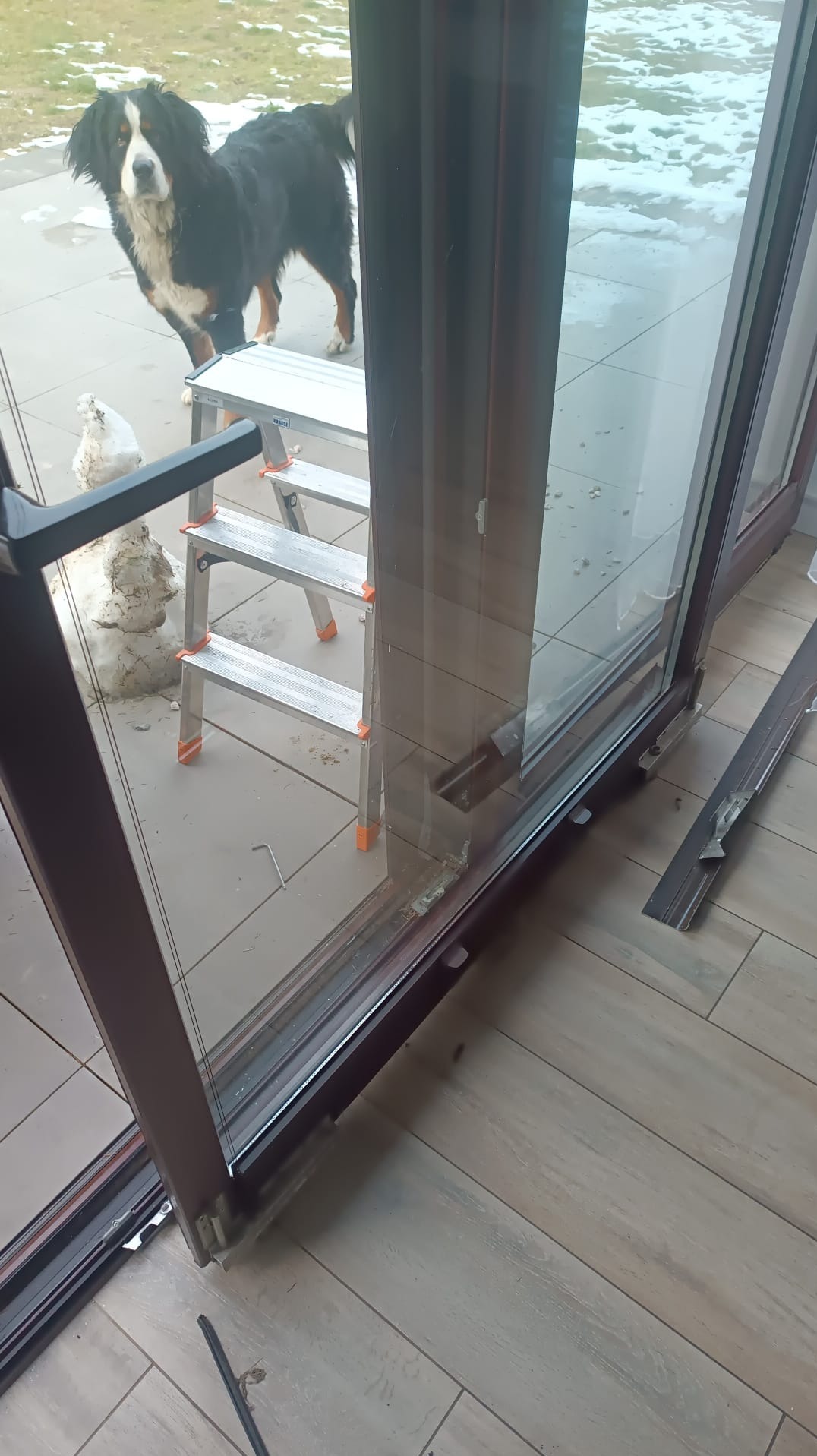 Serwisowane przesuwne drzwi tarasowe z demontowanymi elementami, drabina i pies Berneński w tle. Widoczne ślady naprawy i regulacji.