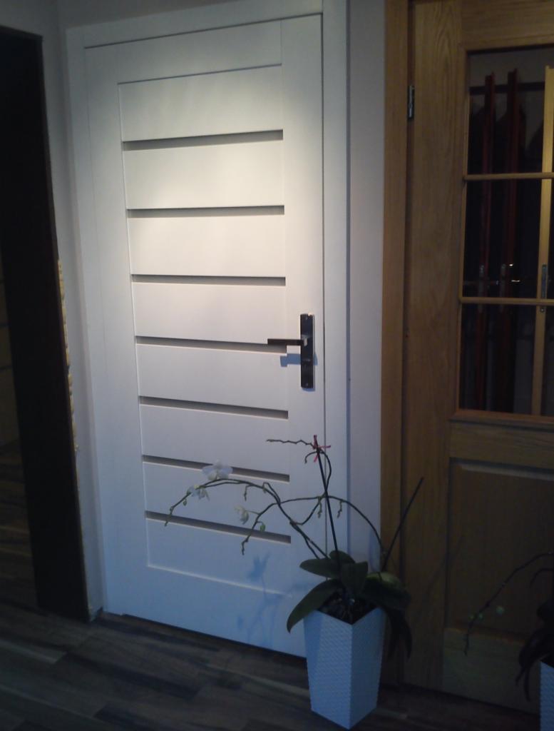 Białe drzwi wewnętrzne z poziomymi frezowaniami i czarną klamką, ozdobione orchideą w białej doniczce, stoją obok drewnianych drzwi z szybami.