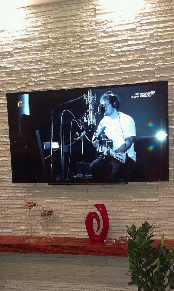 Telewizor LCD na ścianie z dekoracyjną okładziną, pod nim drewniana półka z ozdobami i rośliną doniczkową. Na ekranie artysta grający na gitarze.