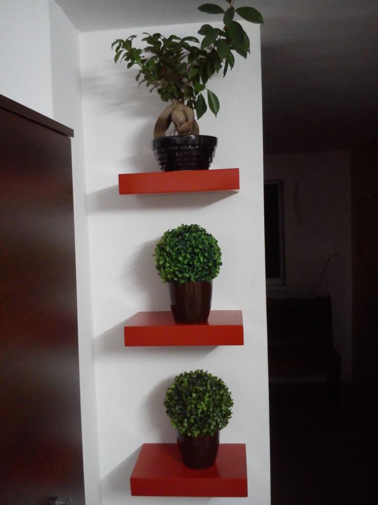 Trzy czerwone półki ścienne z roślinami doniczkowymi na białej ścianie. U góry bonsai, niżej dwie małe, okrągłe rośliny. Widoczny fragment ciemnych drzwi.