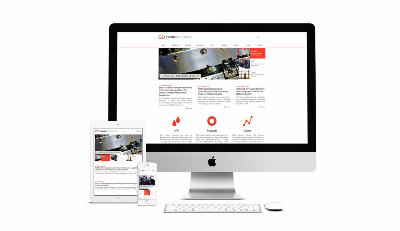 Responsywna strona www Exdin Solutions