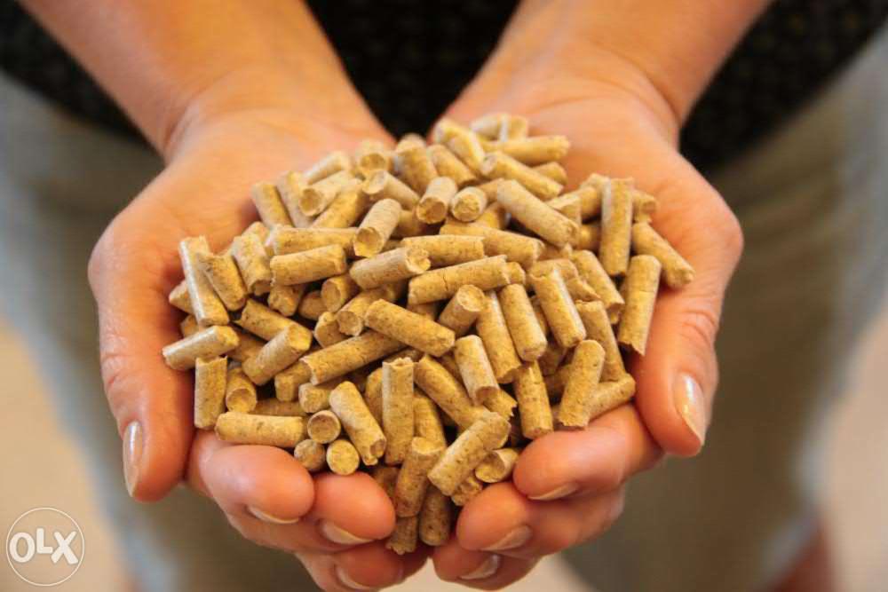 Dłonie trzymające jasny pellet drzewny; widoczne fragmenty paznokci, ciepłe oświetlenie podkreśla teksturę paliwa ekologicznego.