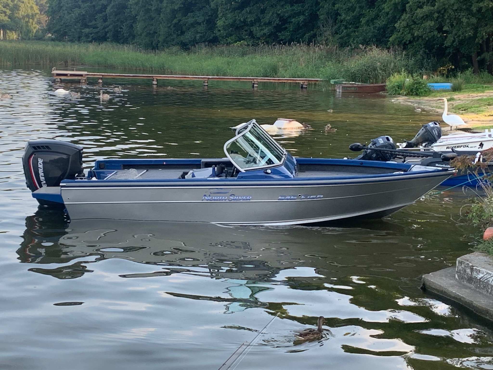 Srebrno-niebieska łódź motorowa 'North Silver' z czarnym silnikiem Evinrude zacumowana przy betonowym nabrzeżu jeziora, w tle pomost, kaczki i łabędź.