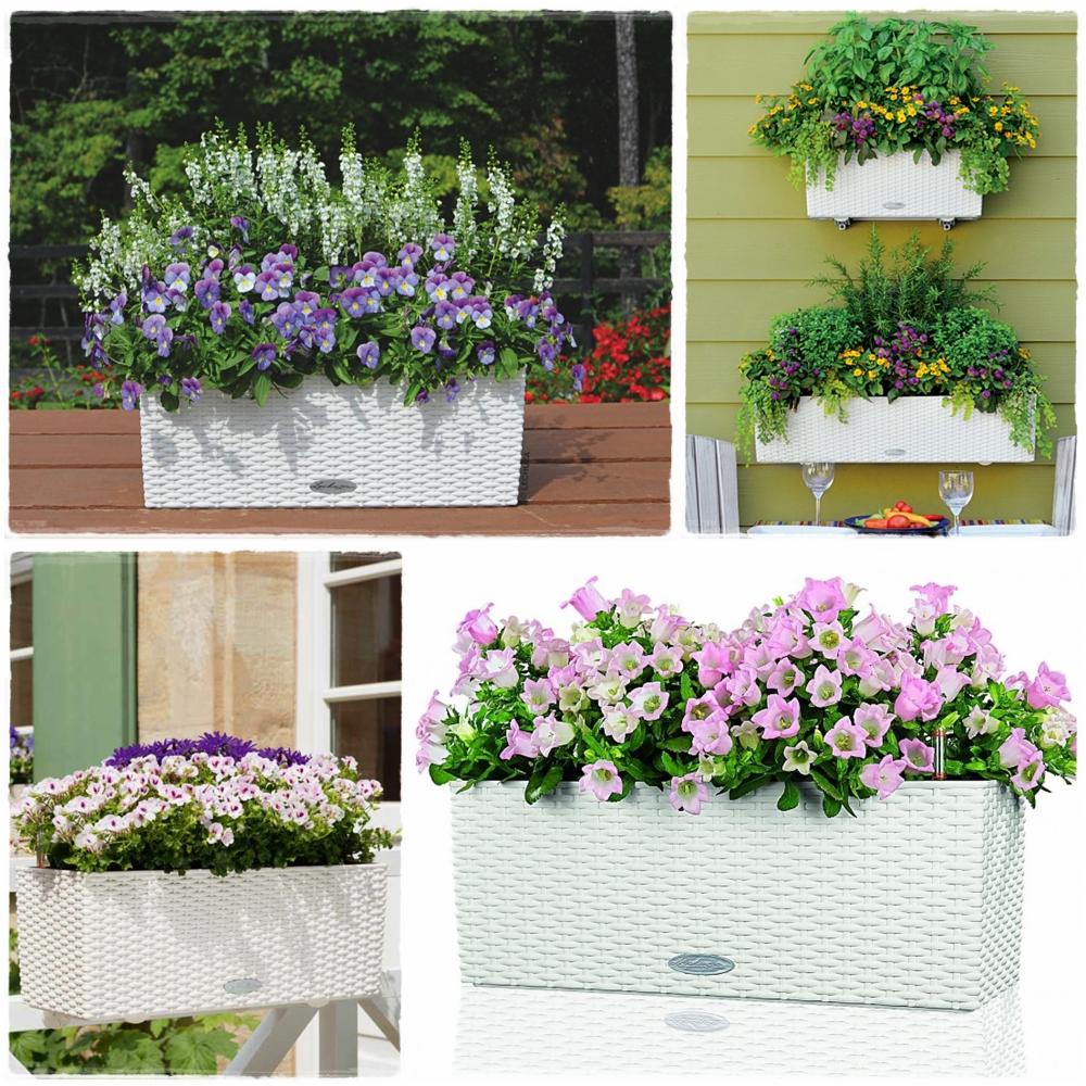 Kompozycja kwiatowa w białej, plecionej donicy, różne ujęcia i gatunki kwiatów, prezentacja aranżacji balkonowych i ogrodowych.