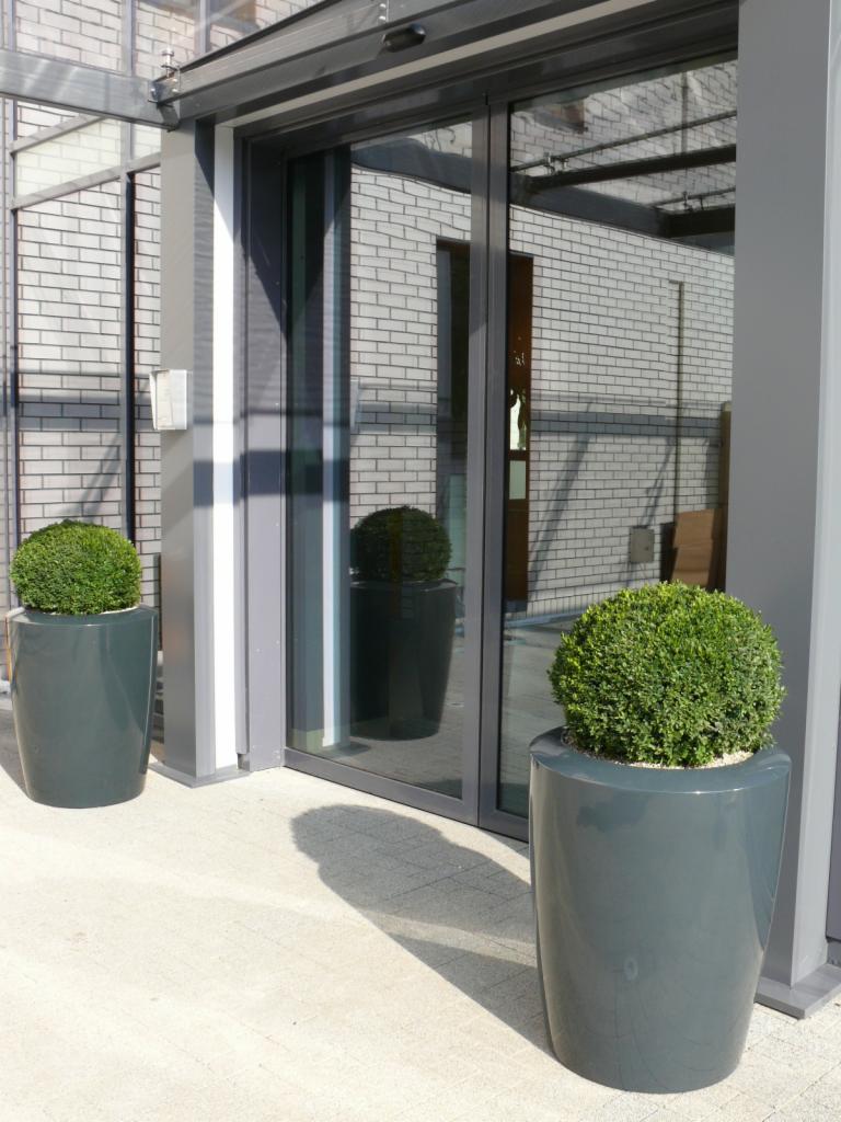 Dwa okrągłe krzewy w wysokich, grafitowych donicach ustawione przed szklanym wejściem do budynku z cegły, odbicie wnętrza w szybach.