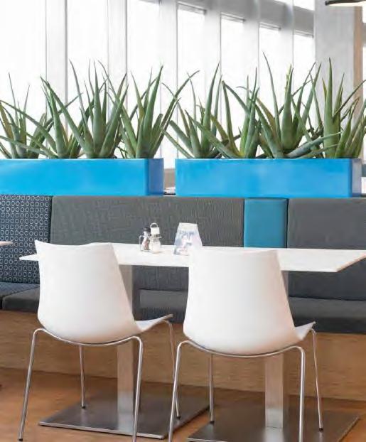 Nowoczesna aranżacja biura w Cieplewie z białymi krzesłami i stołem, dopełniona donicami z aloesem w błękitnych pojemnikach, tworząc świeżą i minimalistyczną przestrzeń.