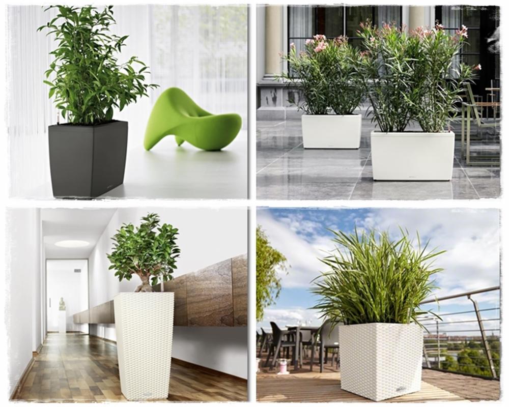Kompozycja czterech ujęć: czarna donica z zieloną rośliną i designerski fotel, dwie białe donice z krzewami na tarasie, wysoka pleciona donica w korytarzu, pleciona donica z trawą na tarasie.