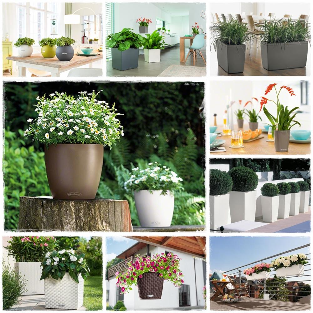 Kolaż przedstawiający różnorodne aranżacje roślin w donicach: na stołach, podłodze, balkonie i w ogrodzie, w różnych stylach i kolorach donic, z różnymi gatunkami roślin.