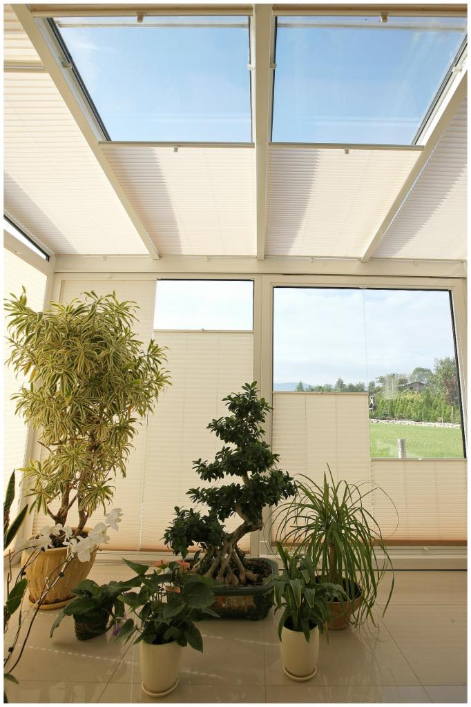 Jasne wnętrze z roślinami doniczkowymi i plisowanymi roletami w oknach oraz na dachu, widok na zewnątrz przez okno.