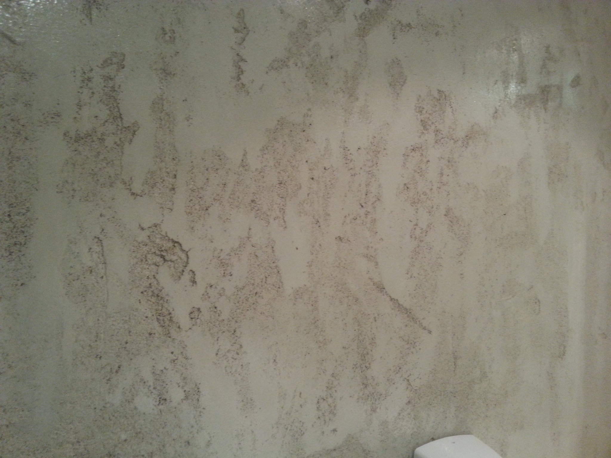 Ściana z widocznymi plamami pleśni, prawdopodobnie w łazience, wymagająca pilnego malowania i usunięcia zagrzybienia.