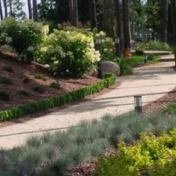 Ścieżka w parku z niskimi lampami, obsadzona kwitnącymi hortensjami i ozdobnymi krzewami. W tle wysokie drzewa, tworzące naturalny cień.