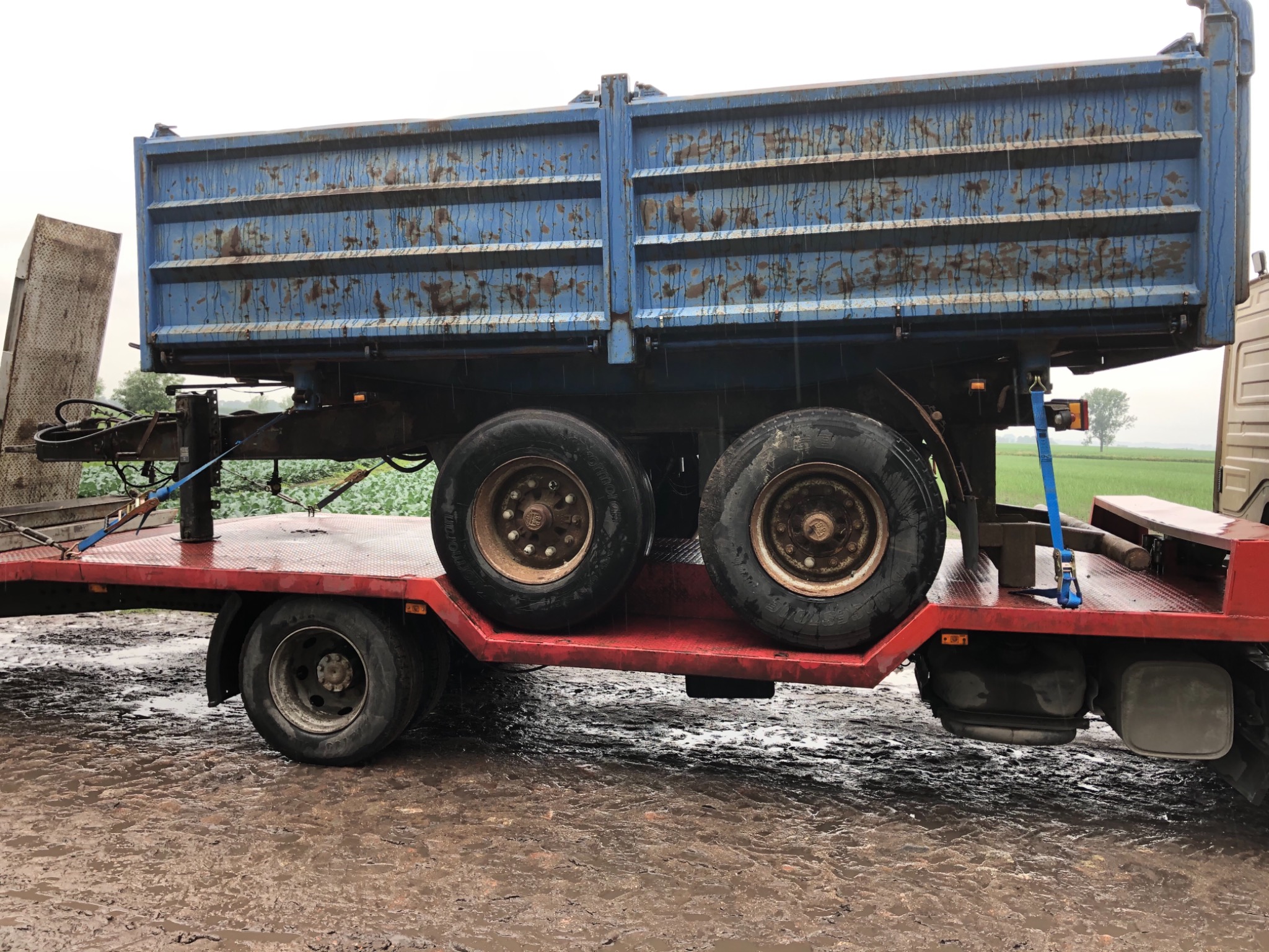 Niebieska, mocno zabrudzona muldą przyczepa umieszczona na czerwonej platformie transportowej, zabezpieczona niebieskimi pasami, stoi na błotnistym terenie.