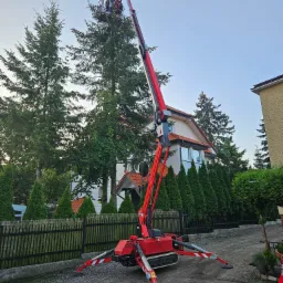 Czerwony podnośnik koszowy na gąsienicach ustawiony na żwirowym podłożu, z dwoma pracownikami w koszu przycinającymi wysokie drzewo iglaste na tle domu z pomarańczowym dachem.