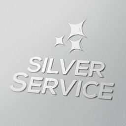 Silver Service Piotr Janik - Alpinistyczne Mycie Szyb Chrzanów