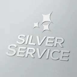 Metaliczne logo 'Silver Service' z trzema gwiazdami na szarym, teksturowanym tle, prezentujące profesjonalizm i czystość usług.