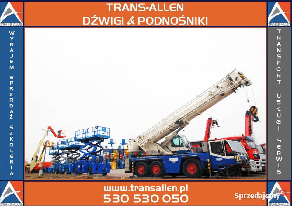 Zdjęcie przedstawia zbiór maszyn budowlanych firmy Trans-Allen, w tym dźwig samojezdny z wysuniętym ramieniem, podnośniki nożycowe i podnośniki koszowe, na tle jasnego nieba. Widoczne logo firmy...