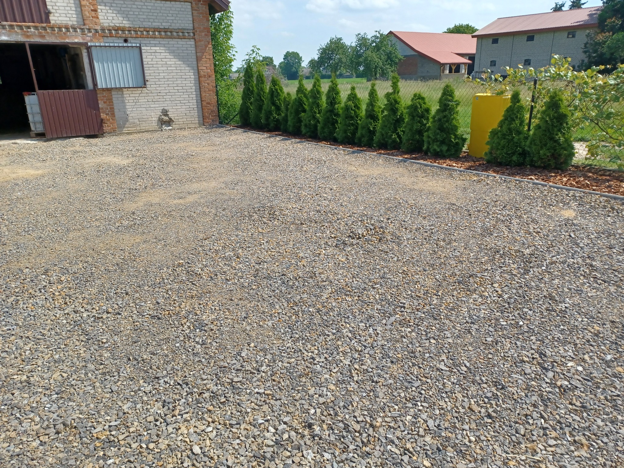 Utwardzony żwirem teren posesji w Radzyniu Podlaskim, z widocznymi tujami posadzonymi wzdłuż granicy i budynkami w tle.