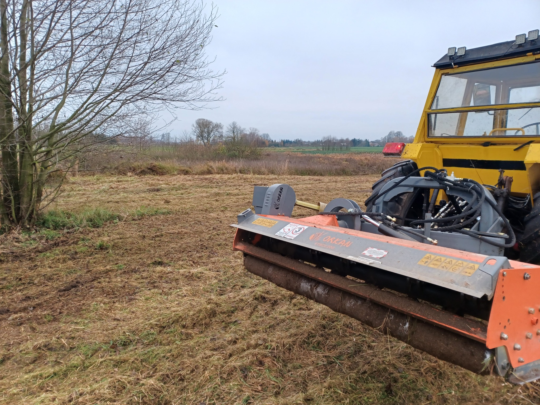 Żółty ciągnik z kosiarką bijakową Orkan KTRBC 200 na polu z resztkami skoszonej trawy, widoczne drzewa w tle, pochmurny dzień.