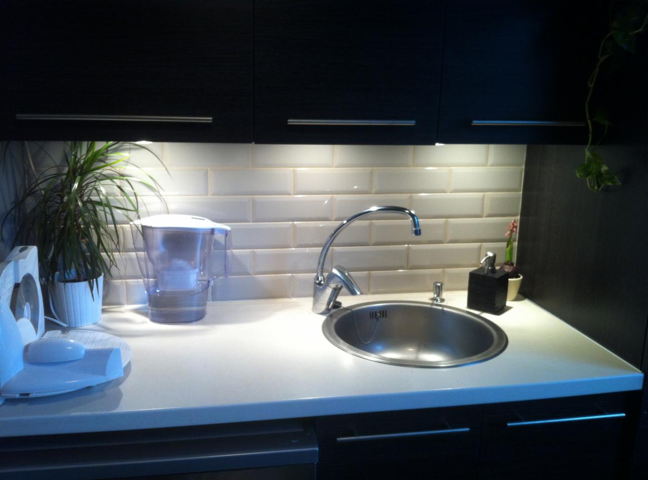 Nowoczesna kuchnia: ciemne szafki, białe płytki imitujące cegłę, stalowy zlew, bateria i blat. Uwagę przykuwa filtr do wody i roślina w doniczce.