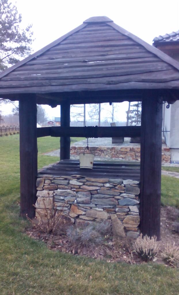 Studnia z drewnianą konstrukcją i kamienną obudową, wiadro zawieszone na łańcuchu. Otoczenie: trawa, krzewy, częściowo widoczne budynki w tle.