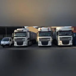Flota transportowa: Trzy białe ciężarówki DAF XF z naczepami oraz mały biały samochód dostawczy Kia Bongo zaparkowane obok siebie, widoczne numery rejestracyjne na każdym pojeździe.