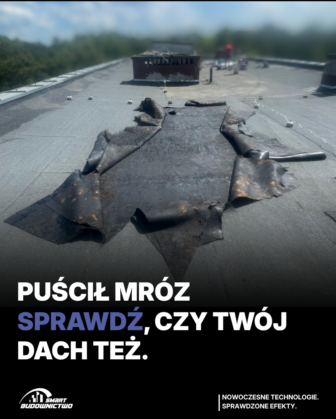 Darmowy przegląd dachu po zimie to podstawa zabezpieczenia Twojego budynku.