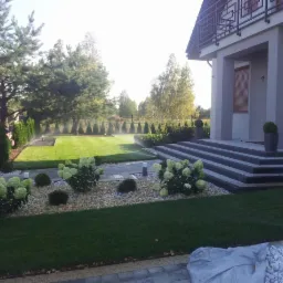 Nowoczesny ogród z nawadnianiem: trawnik, hortensje, ścieżka z kostki, schody do domu z szarymi stopniami, system nawadniania włączony, w tle rząd drzew.