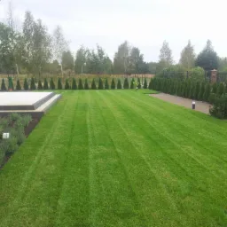 Perfekcyjnie przystrzyżony trawnik z wyraźnymi pasami, otoczony tujami i rabatą z lawendą, przylegający do nowoczesnego domu z elementami betonowymi.