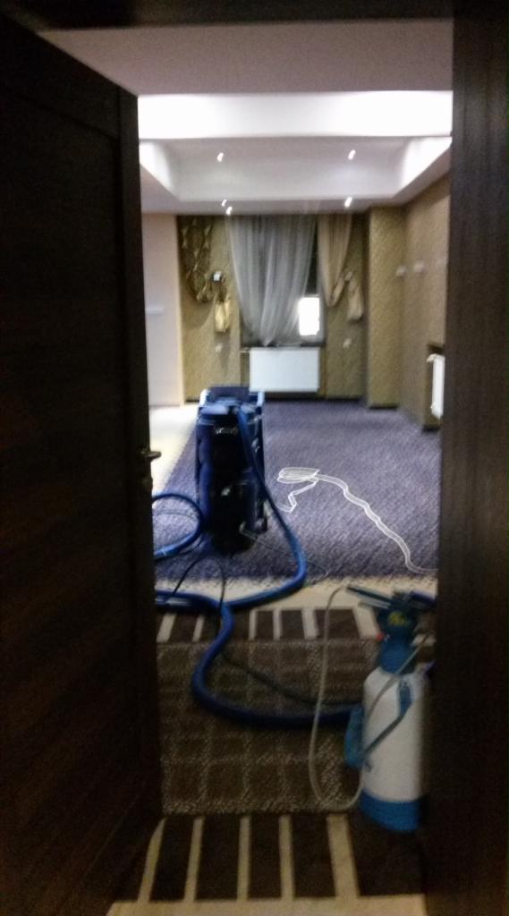 Profesjonalny sprzęt do czyszczenia dywanów w eleganckim wnętrzu, widok zza uchylonych drzwi. Szczegółowe ujęcie na urządzenia i dywan z bliska.