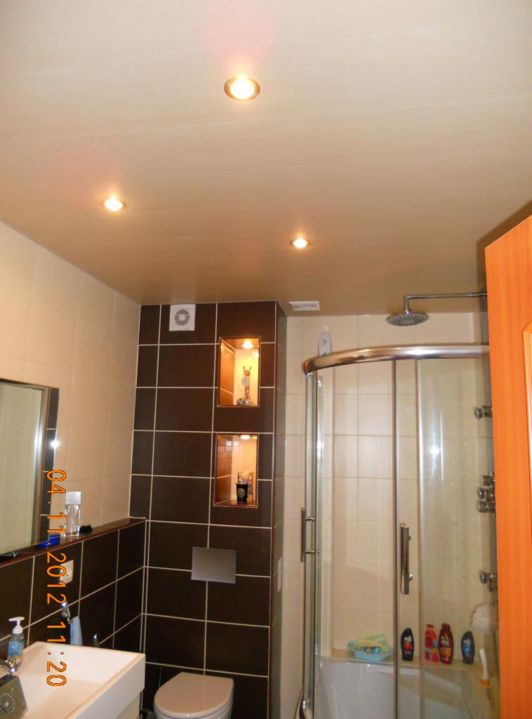 Wykończona łazienka z brązowymi i beżowymi płytkami, kabiną prysznicową i podwieszanym sufitem z oświetleniem punktowym, z wnękami dekoracyjnymi w ścianie.