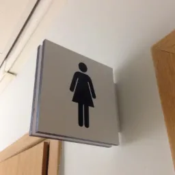 Piktogram kobiety na dwuwarstwowej, kwadratowej tabliczce informacyjnej, zamontowanej na ścianie obok drewnianej framugi drzwi.