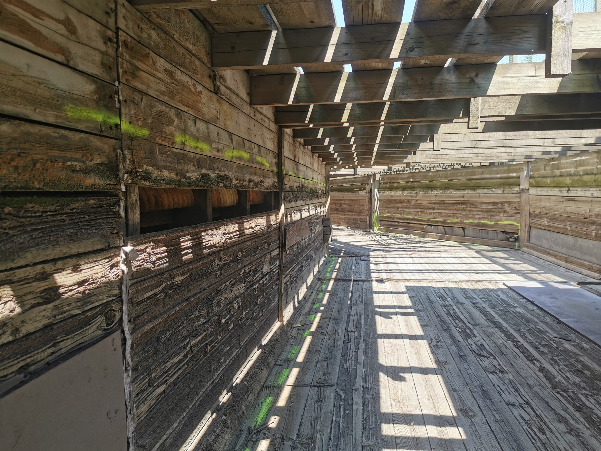 Wnętrze drewnianej konstrukcji hali w surowym stanie, z widocznymi belkami stropowymi przepuszczającymi promienie słoneczne, tworzącymi wzory światła i cienia na podłodze i ścianach. Świeże...