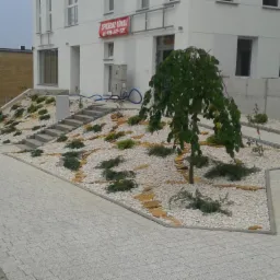 Skarpa obsadzona zielenią i wysypana białym kamieniem, z młodym drzewkiem na pierwszym planie, obok chodnik z kostki brukowej i budynek z napisem 'Sprzedaż Lokali'.