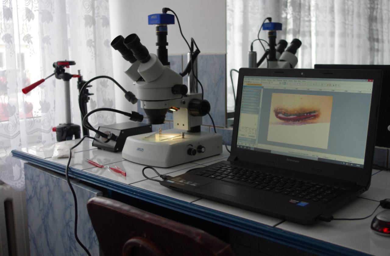 Badania Laboratoryjne