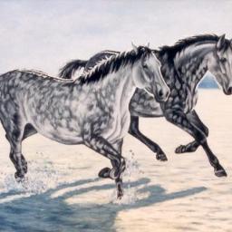Obraz konie