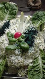 Josta - Catering Warszawa
