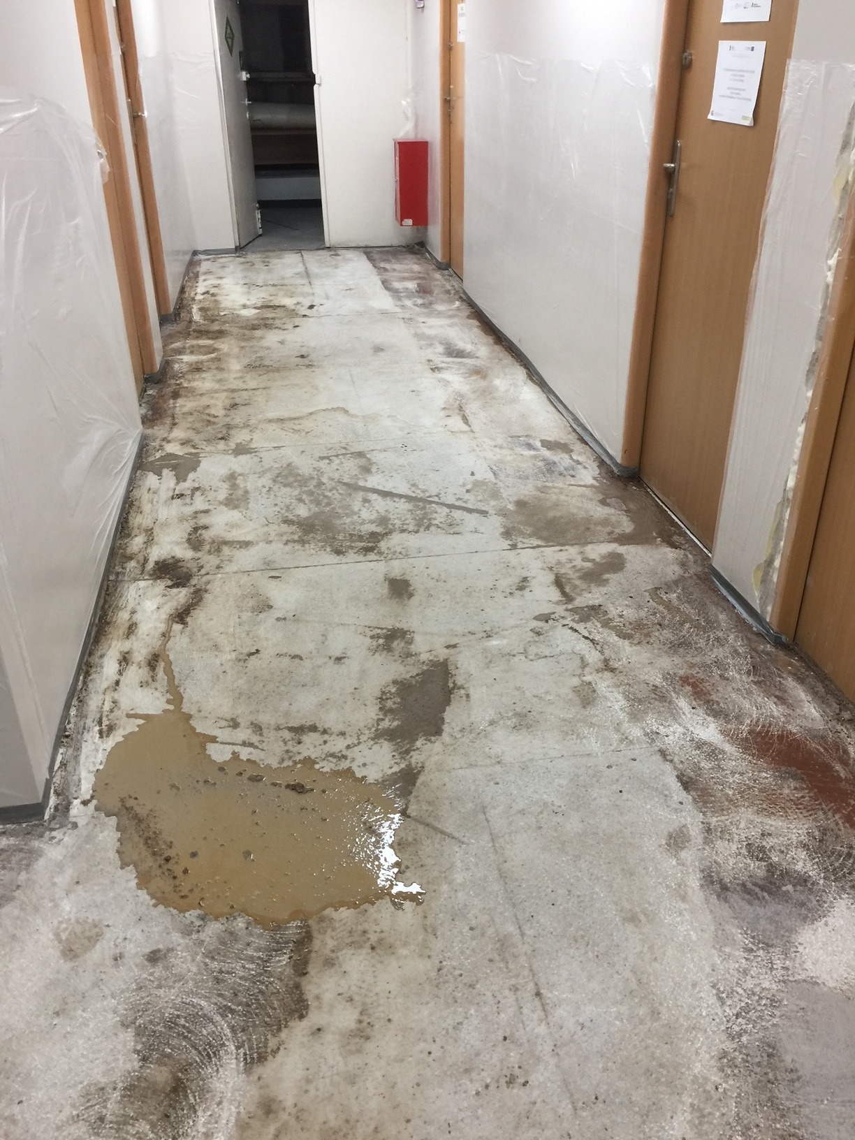 Szlifowanie lastryko w trakcie prac