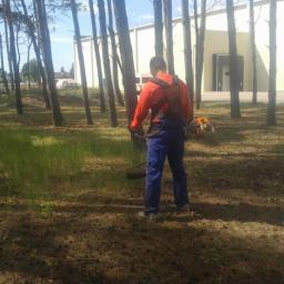 Kamil Rybiński- Usługi GREENI - Pracownik w pomarańczowej kurtce i niebieskich spodniach, z wykaszarką spalinową, przycina trawę pod drzewami w lesie miejskim na tle budynku.