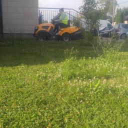 Kamil Rybiński- Usługi GREENI - Żółta kosiarka traktorek Stiga w trakcie koszenia zarośniętego trawnika przed budynkiem z metalową barierką.