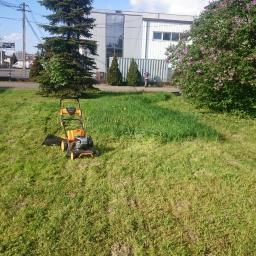 Kamil Rybiński- Usługi GREENI - Pomarańczowo-czarna kosiarka spalinowa na trawniku z częściowo skoszoną trawą, w tle budynek biurowy i osoba przy kontenerze.
