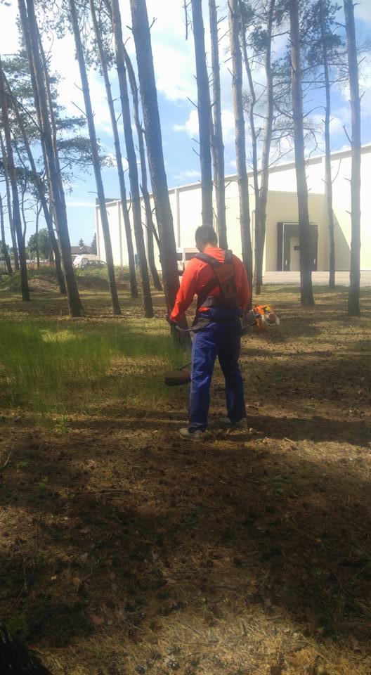 Pracownik w pomarańczowej kurtce i niebieskich spodniach, z wykaszarką spalinową, przycina trawę pod drzewami w lesie miejskim na tle budynku.