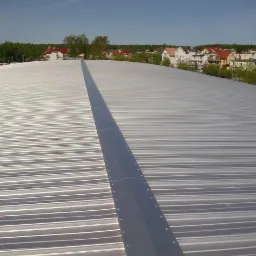 Srebrne, faliste płyty warstwowe tworzą dach hali, z centralnym pasem łączeniowym. W tle zabudowa miejska i drzewa pod błękitnym niebem.