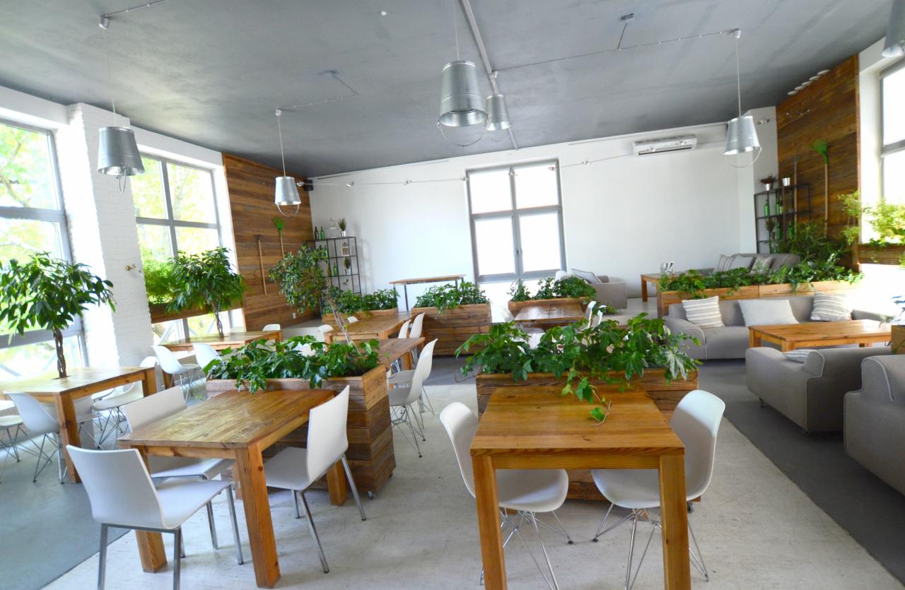Jasne wnętrze kawiarni lub restauracji z drewnianymi stołami, białymi krzesłami, roślinami w drewnianych donicach i szarymi sofami w tle.