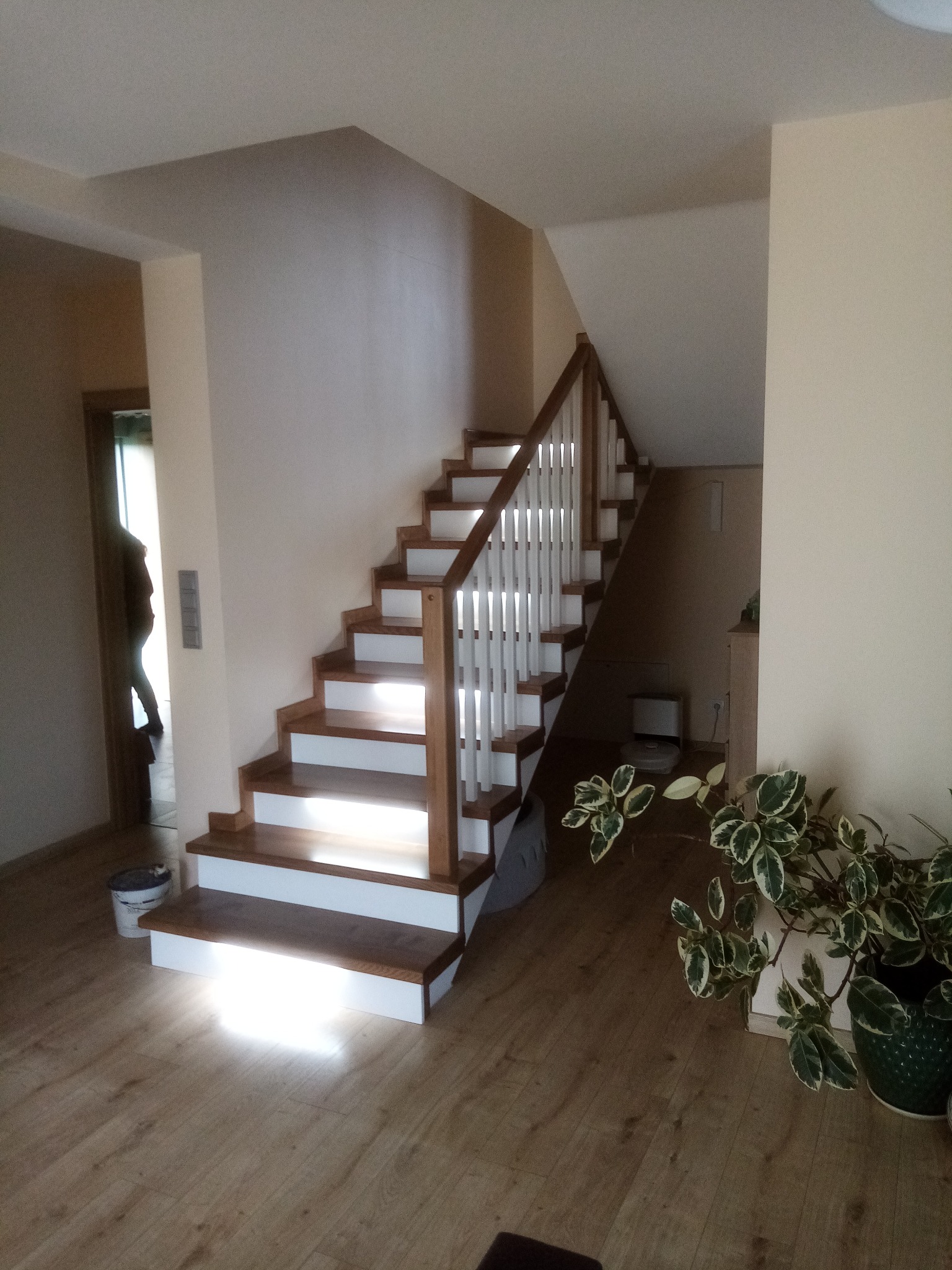 Jasne schody z drewnianymi stopniami i białymi podstopnicami, prowadzące do góry. Biała balustrada z drewnianym poręczą. Podłoga z paneli. Roślina doniczkowa w prawym dolnym rogu.